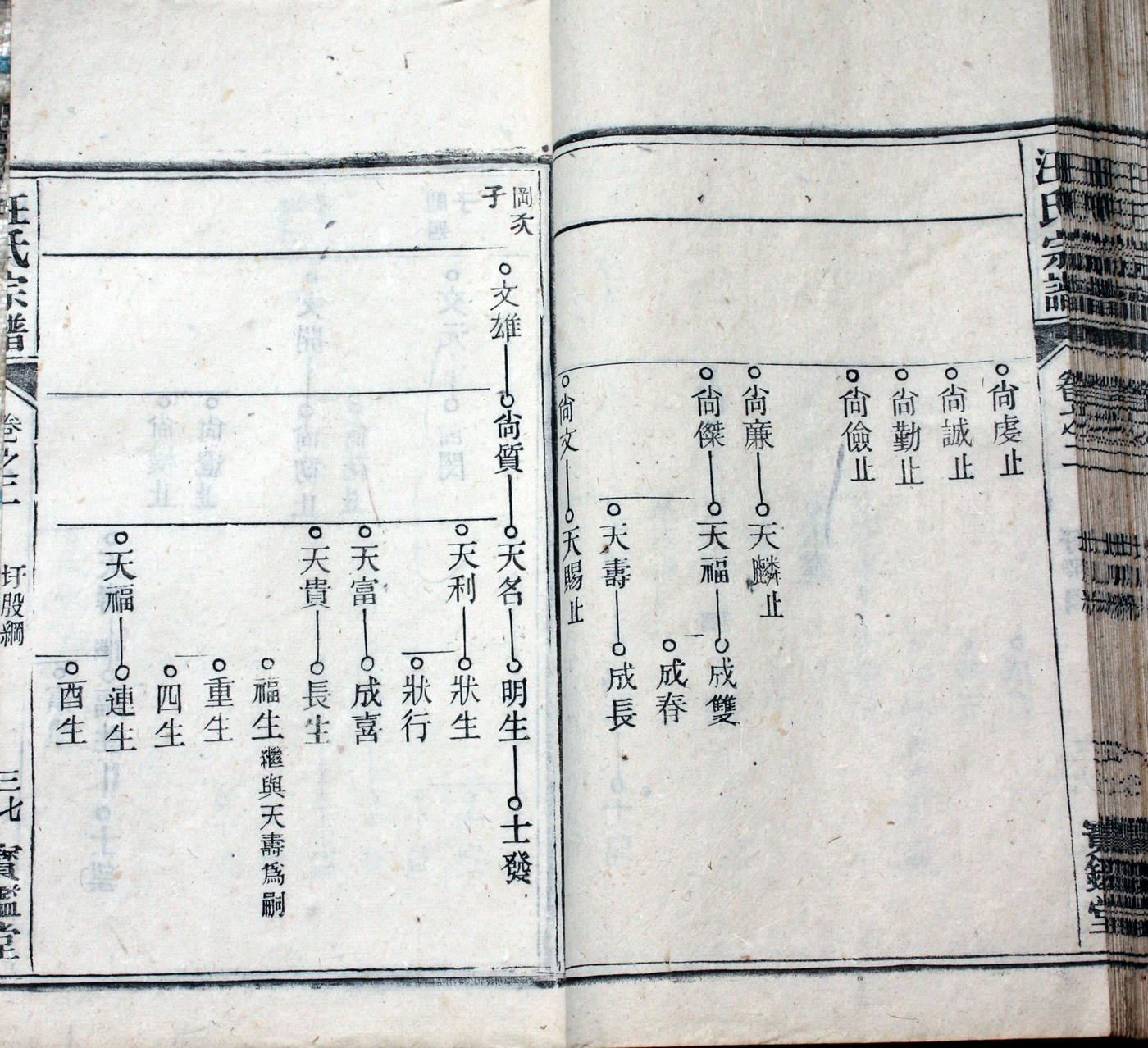 圩股派世系图 37