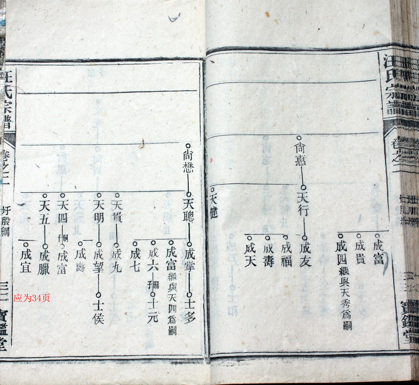 圩股派世系图 34