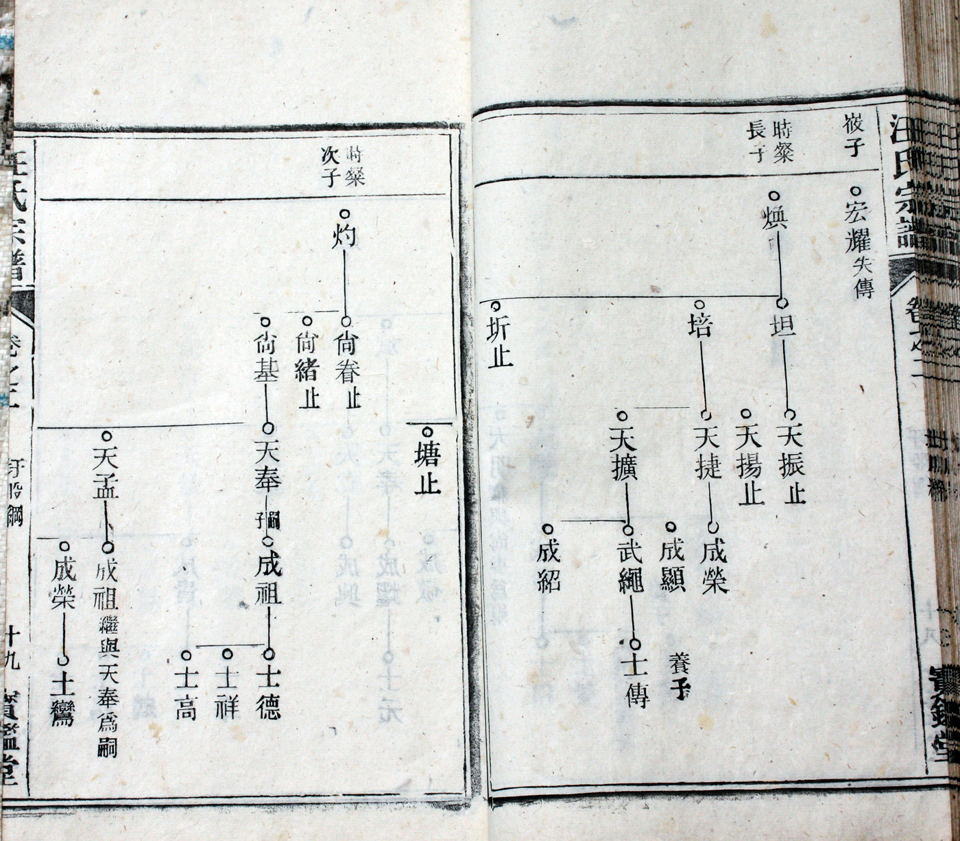 圩股派世系图 19