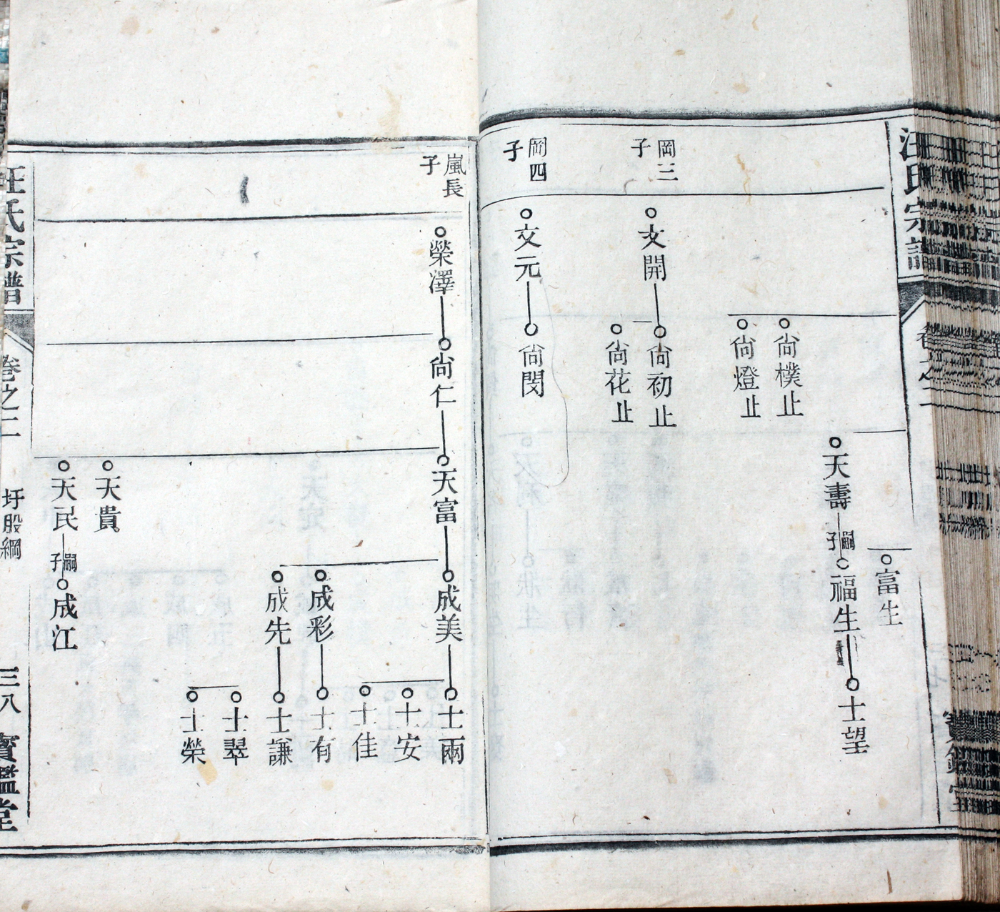 圩股派世系图 38