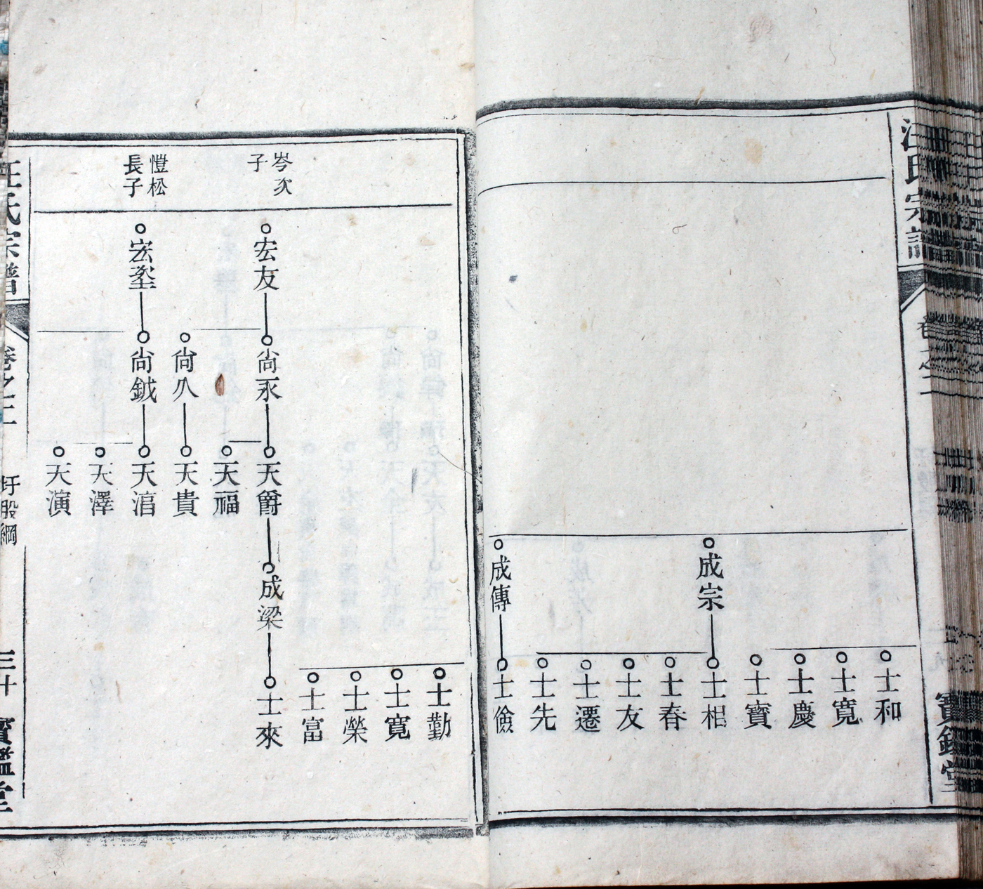 圩股派世系图 30