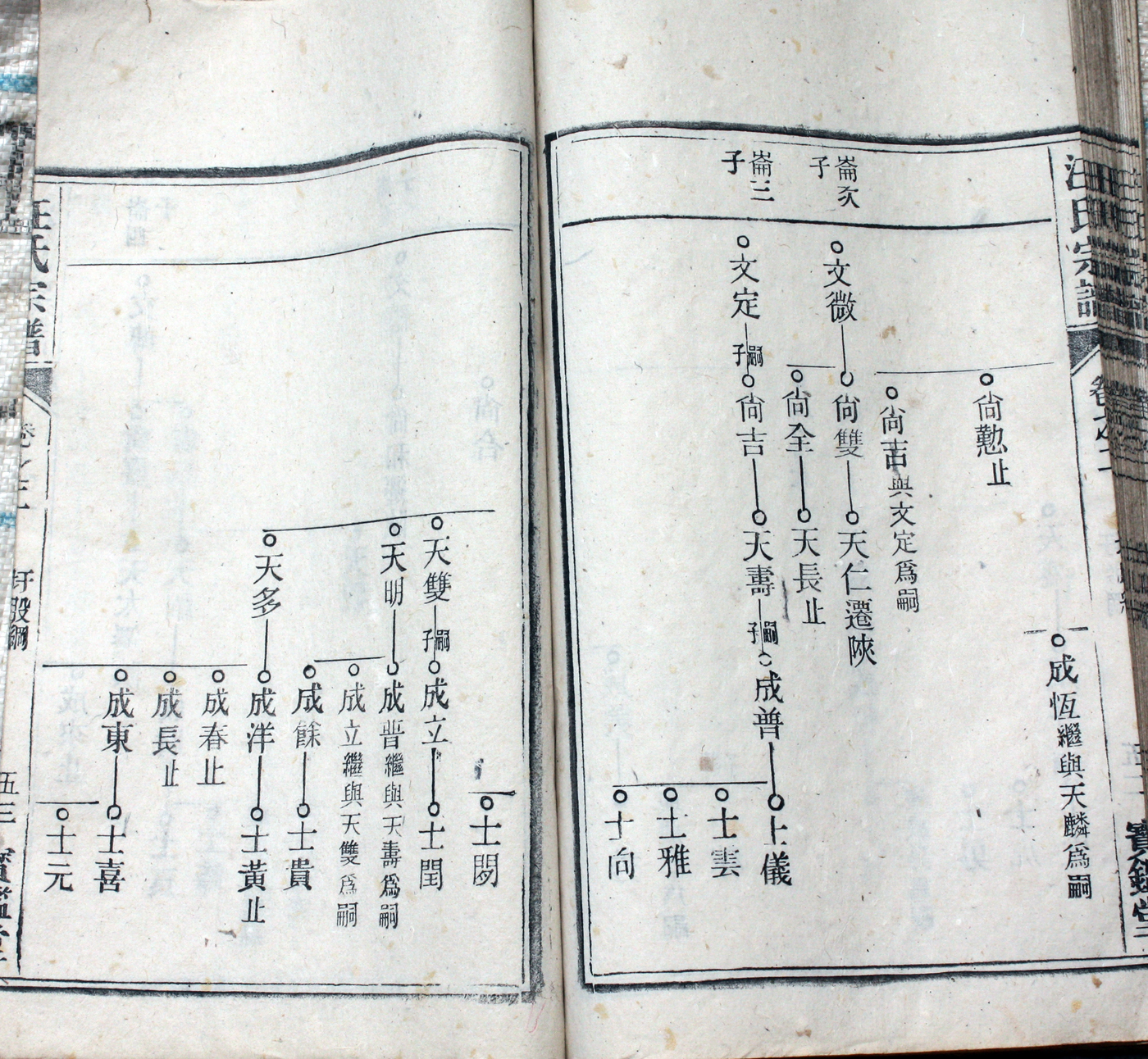 圩股派世系图 53