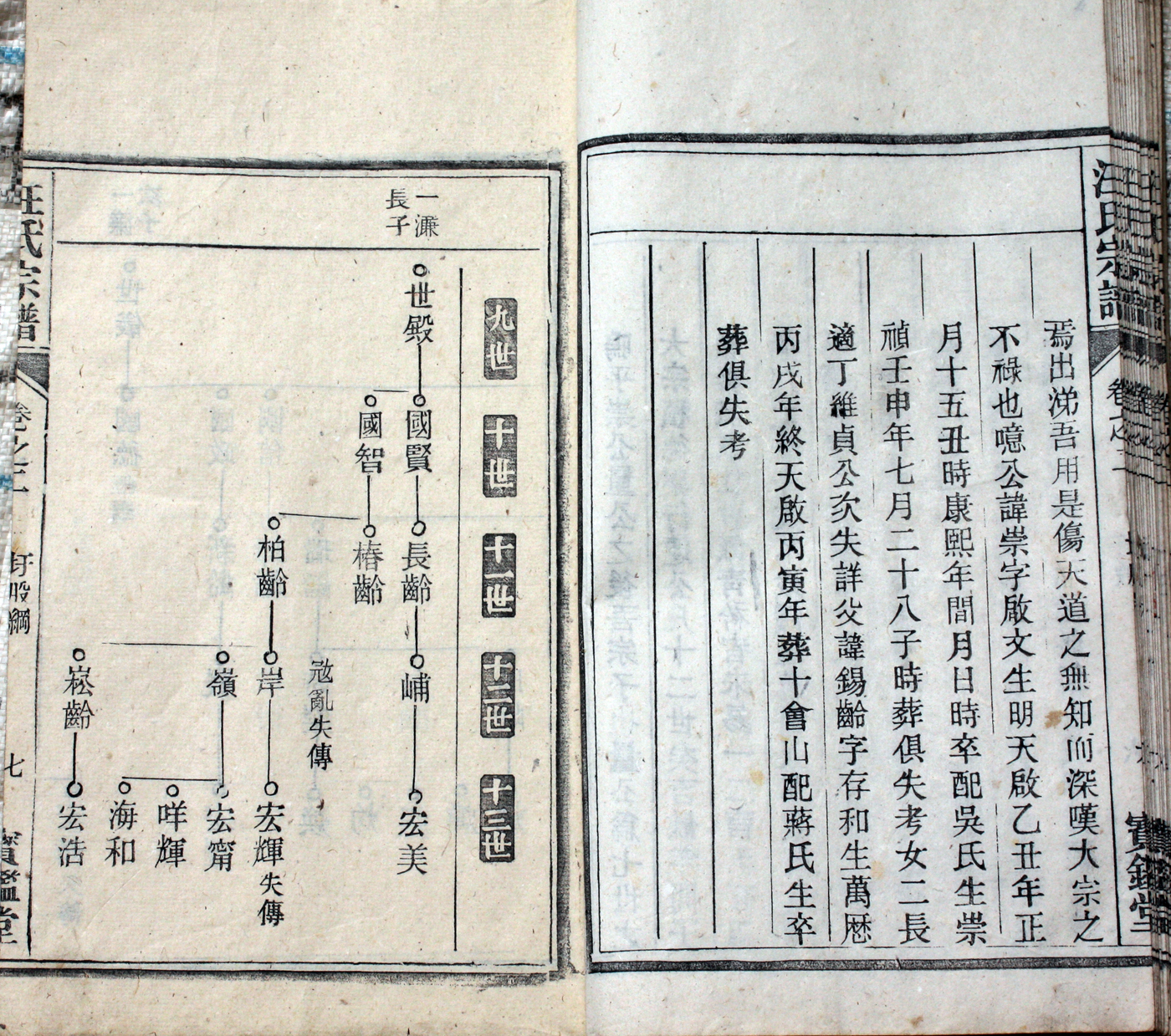 圩股派世系图［泰和堂］7