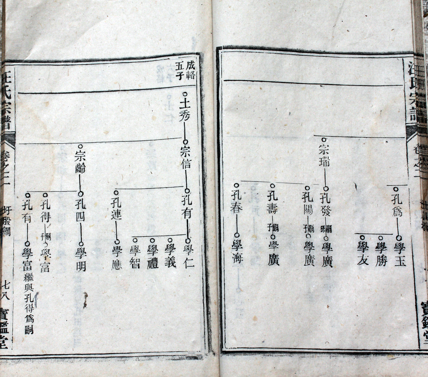 圩股派世系图 78