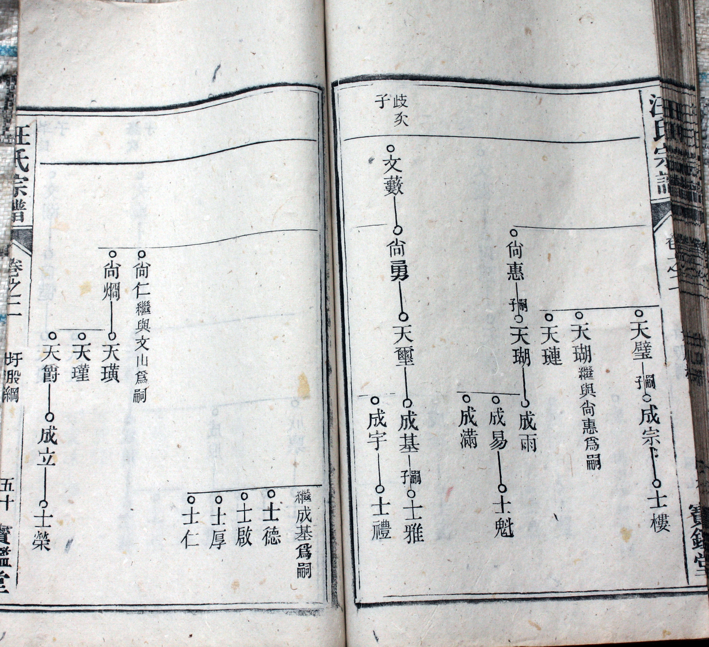 圩股派世系图 50