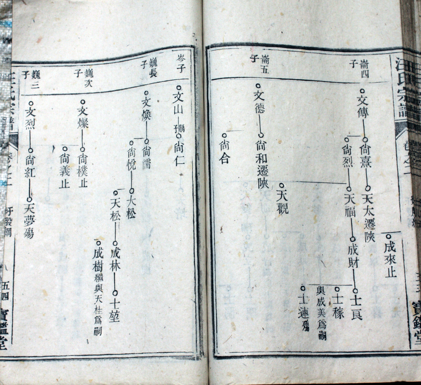 圩股派世系图 54