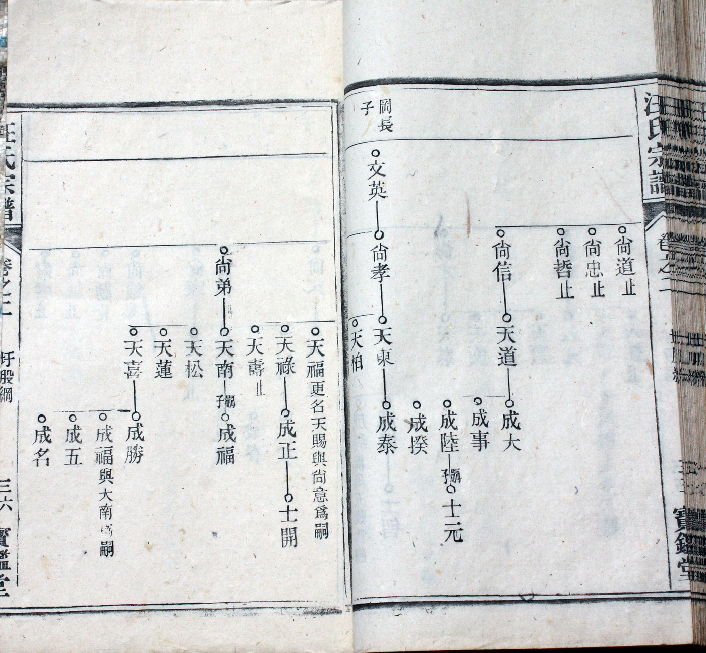 圩股派世系图 36