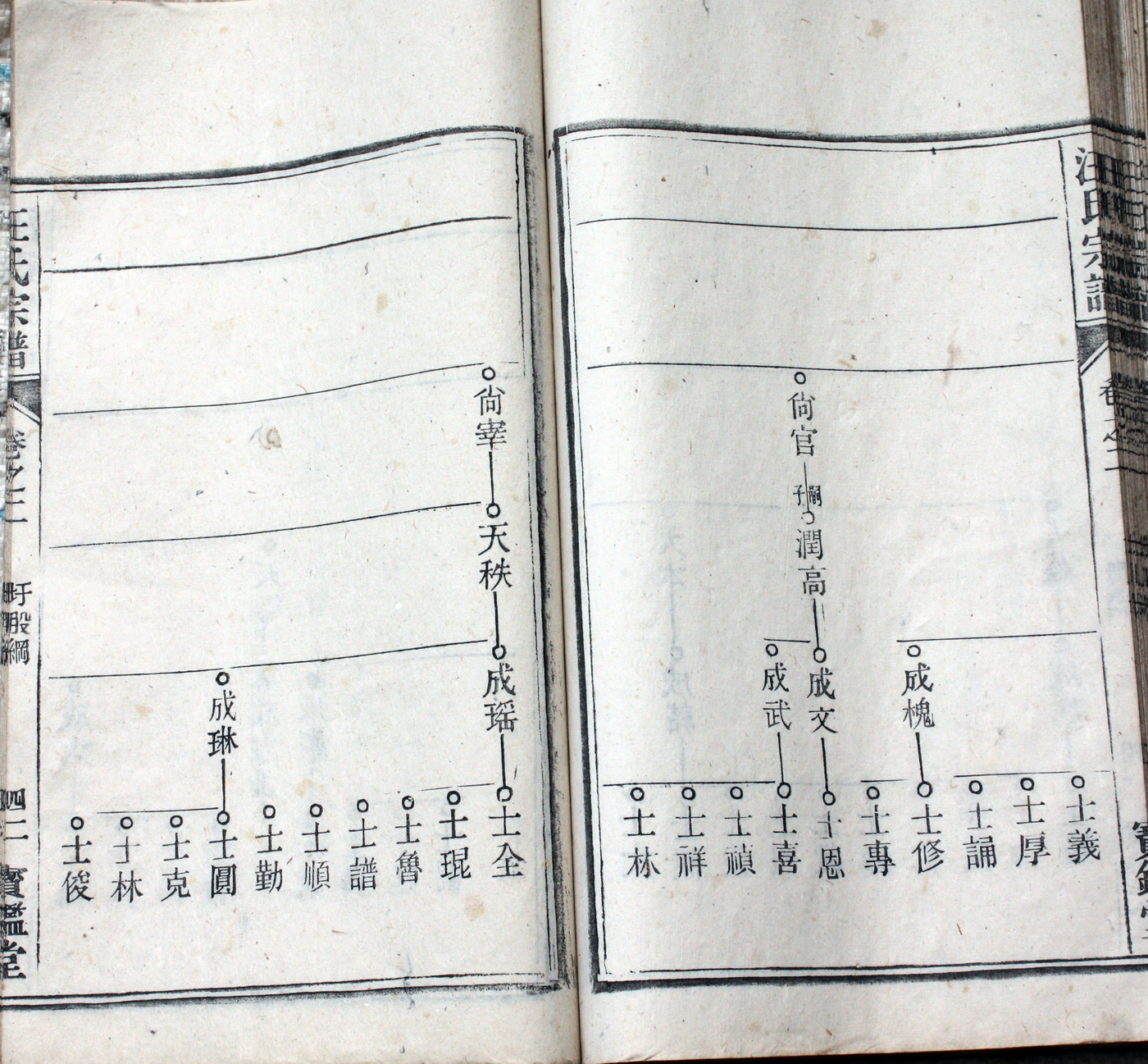 圩股派世系图 42