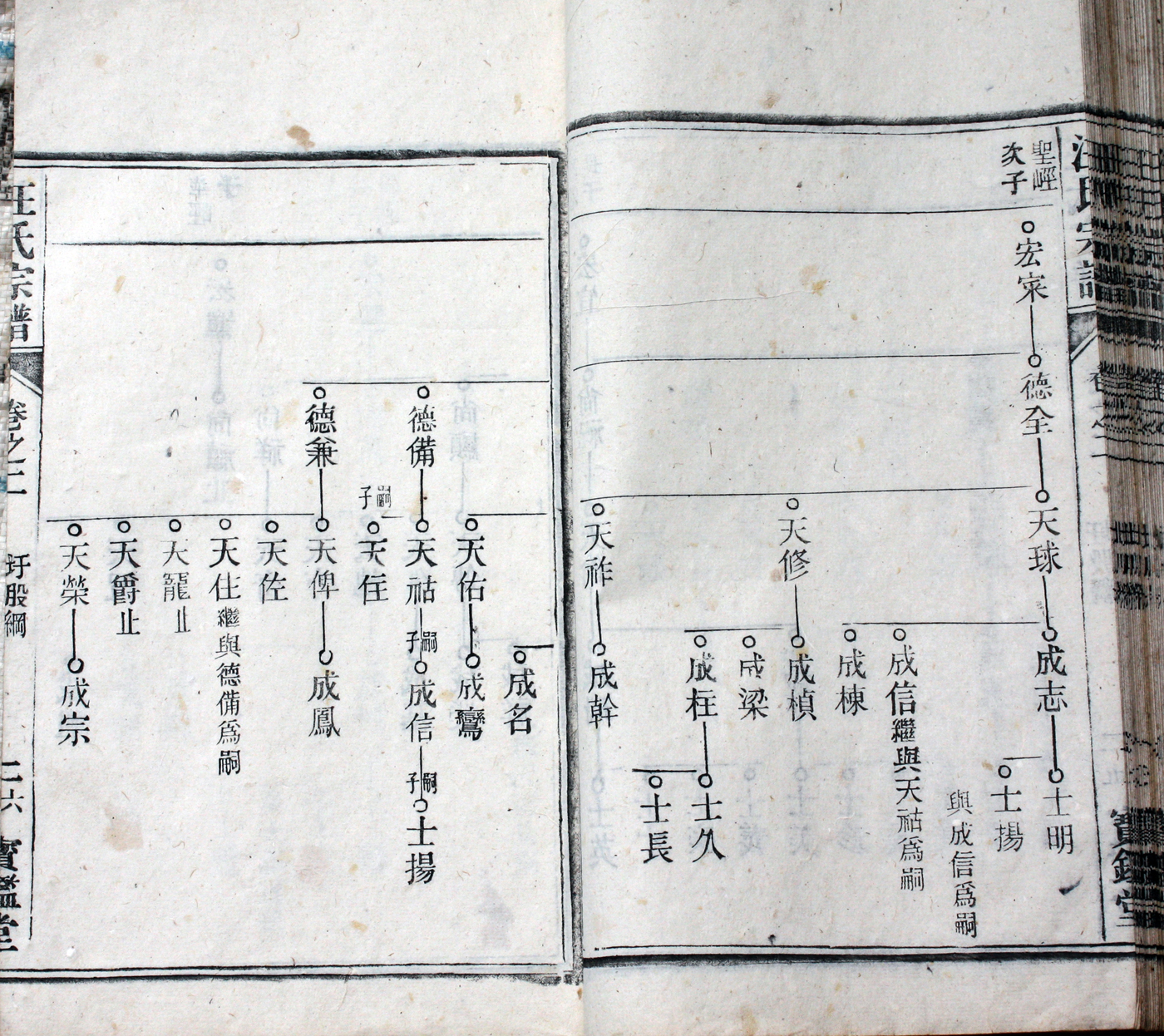 圩股派世系图 26