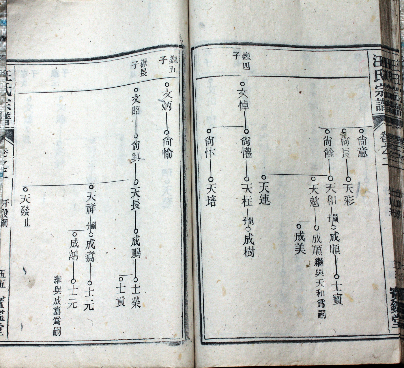 圩股派世系图 55