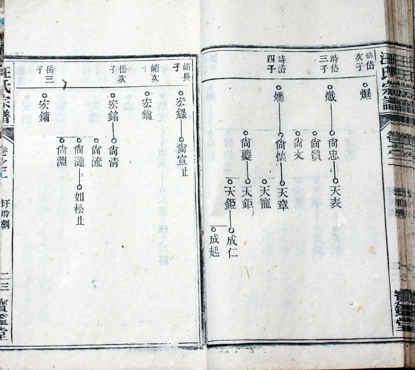 圩股派世系图 23