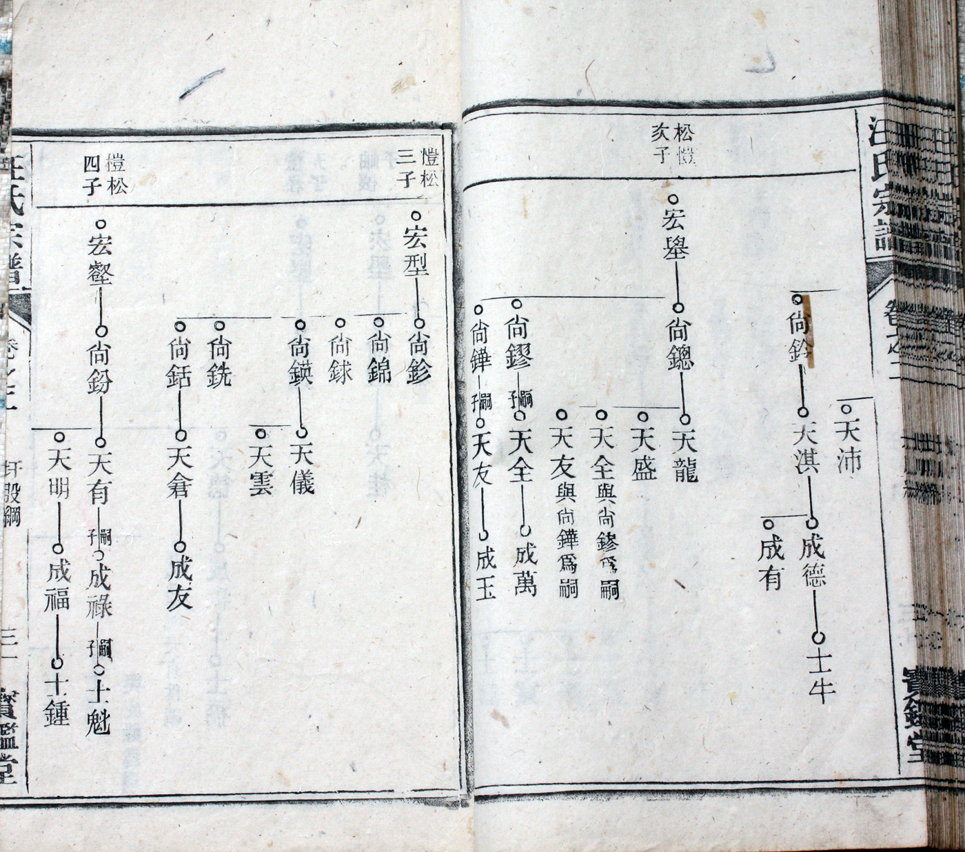 圩股派世系图 31