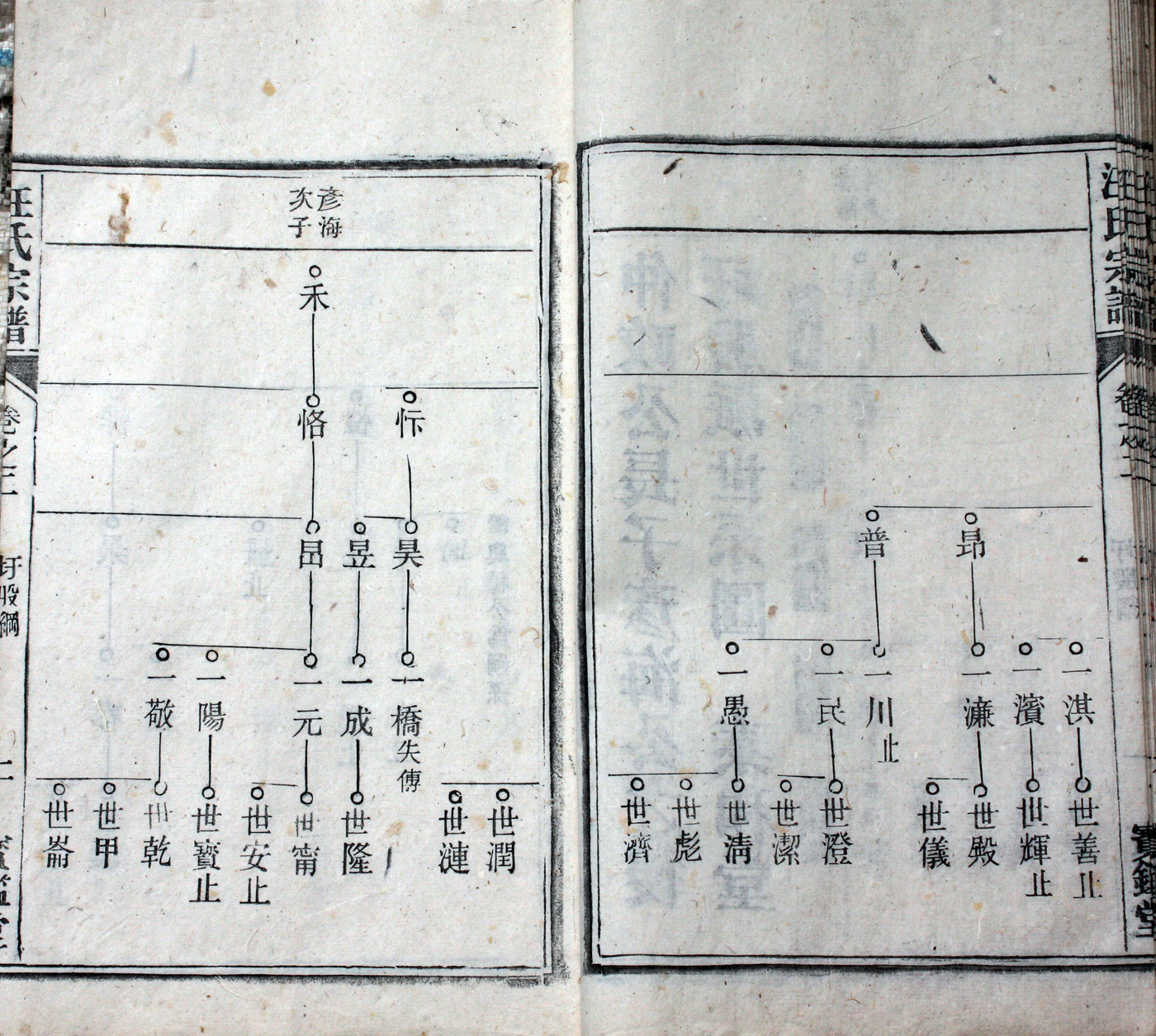 圩股派世系图 2