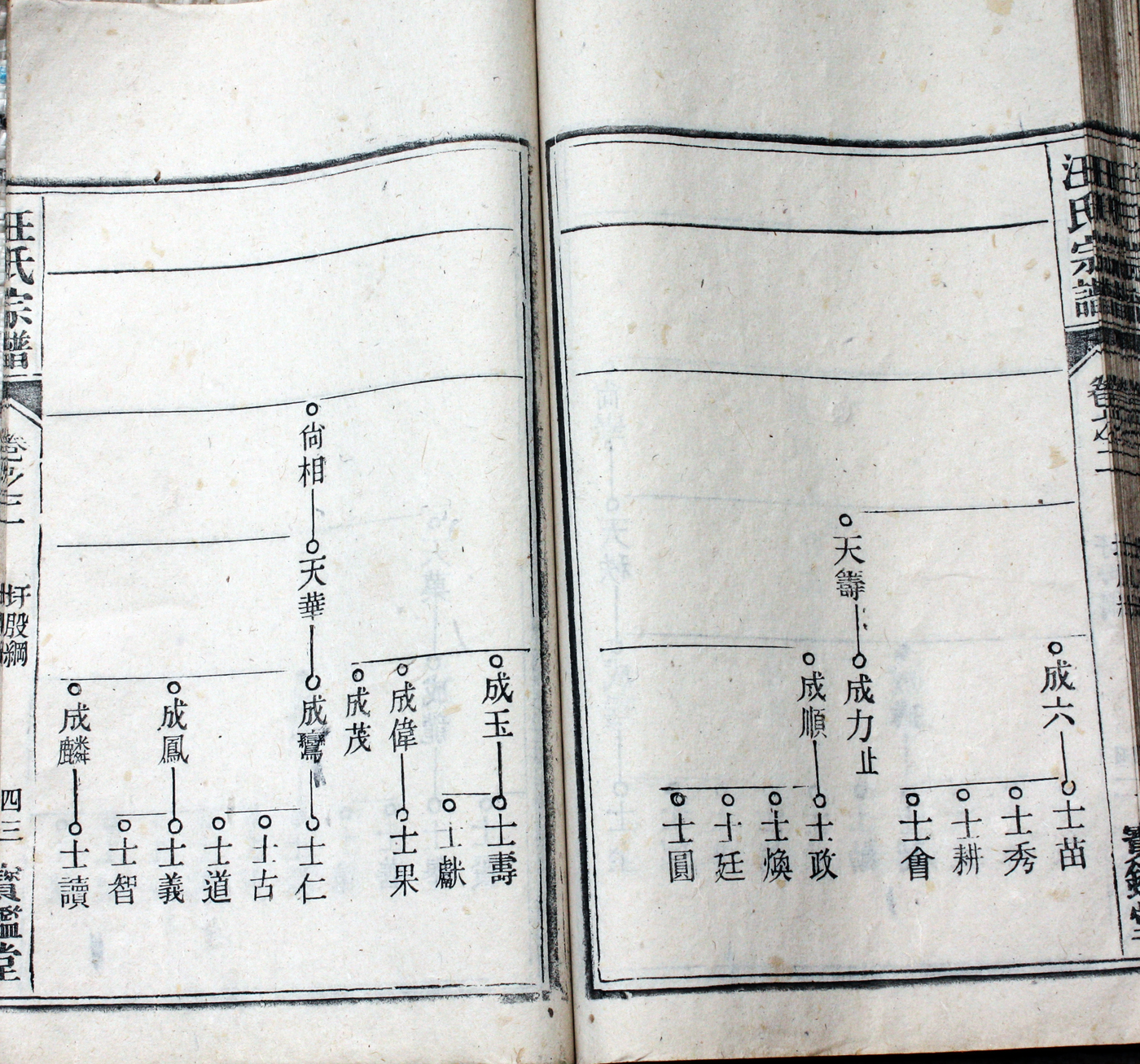 圩股派世系图 43
