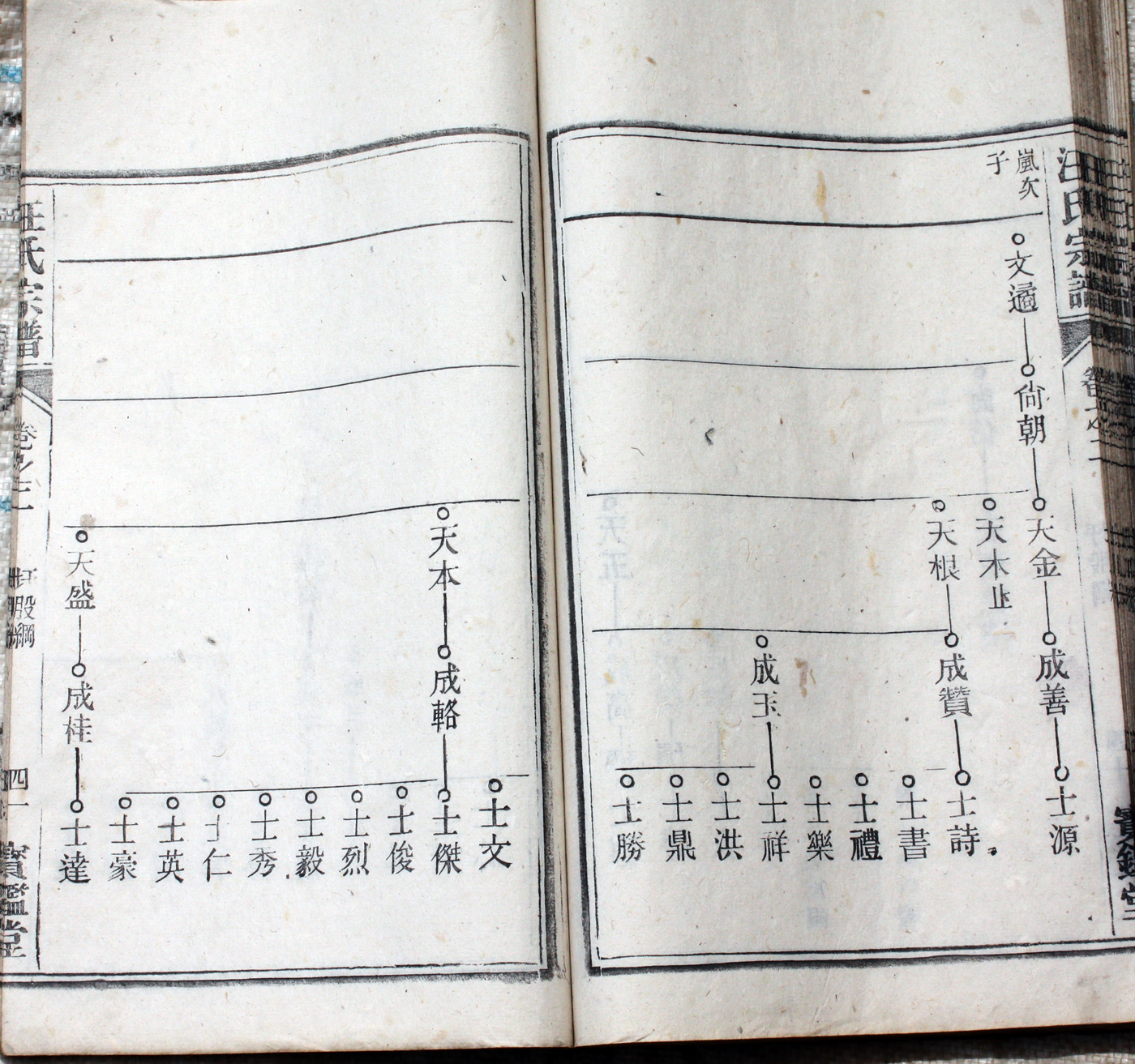圩股派世系图 41