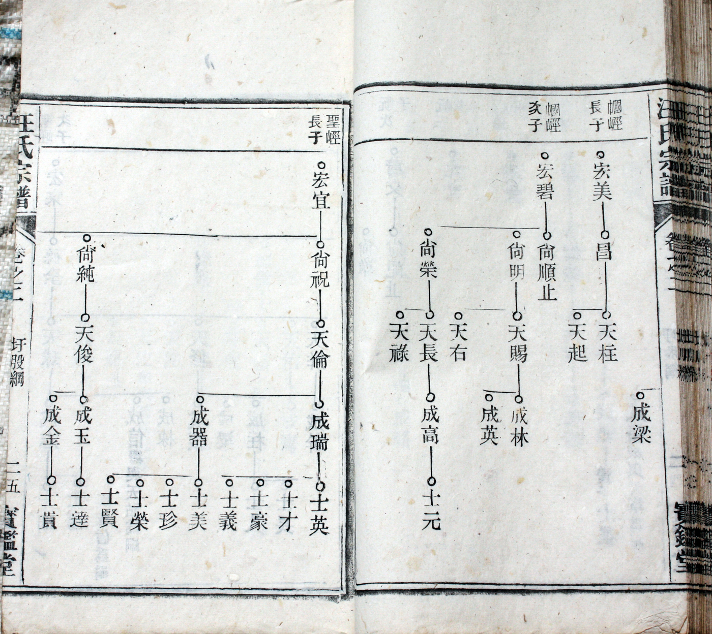 圩股派世系图 25