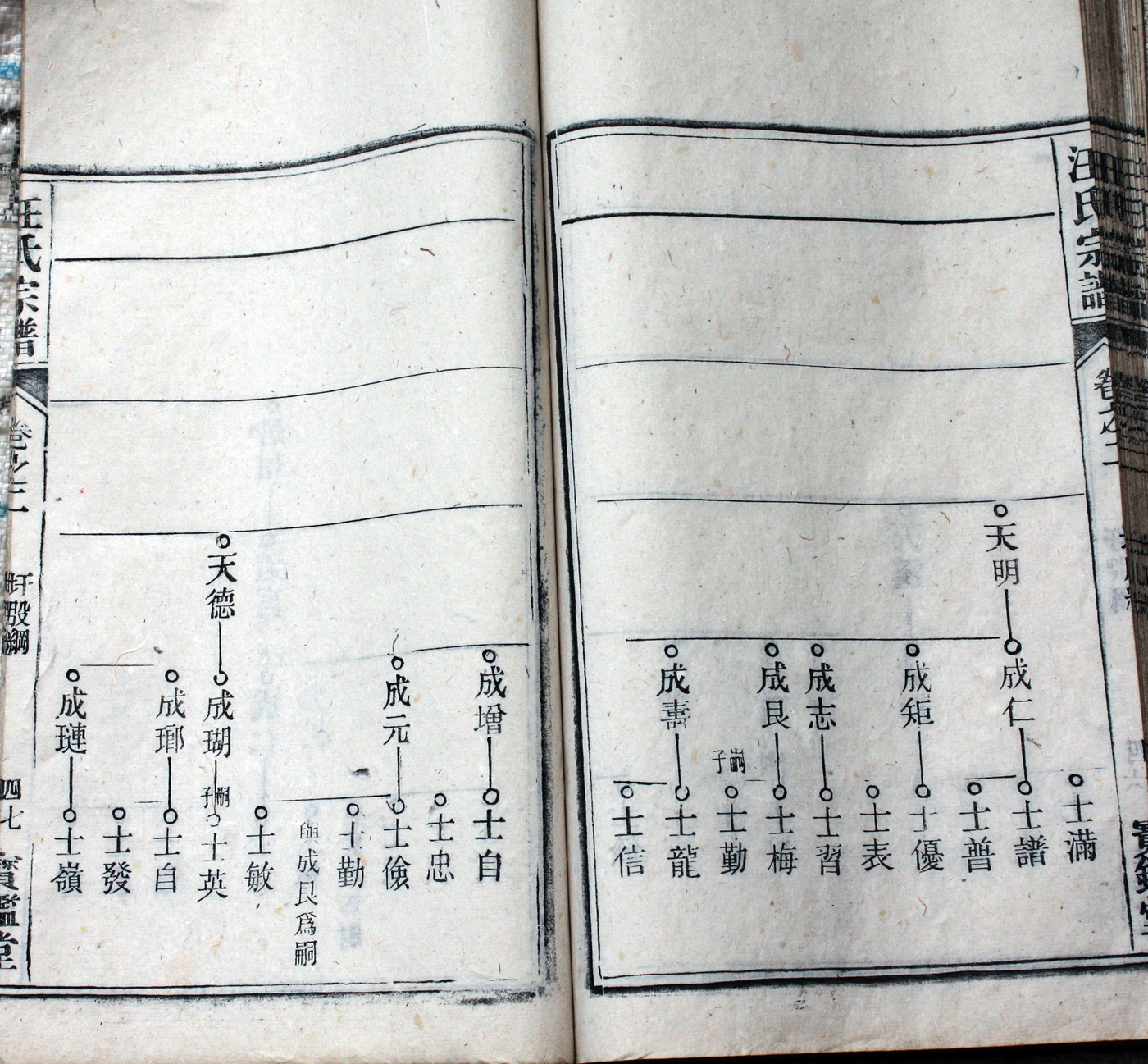 圩股派世系图 47