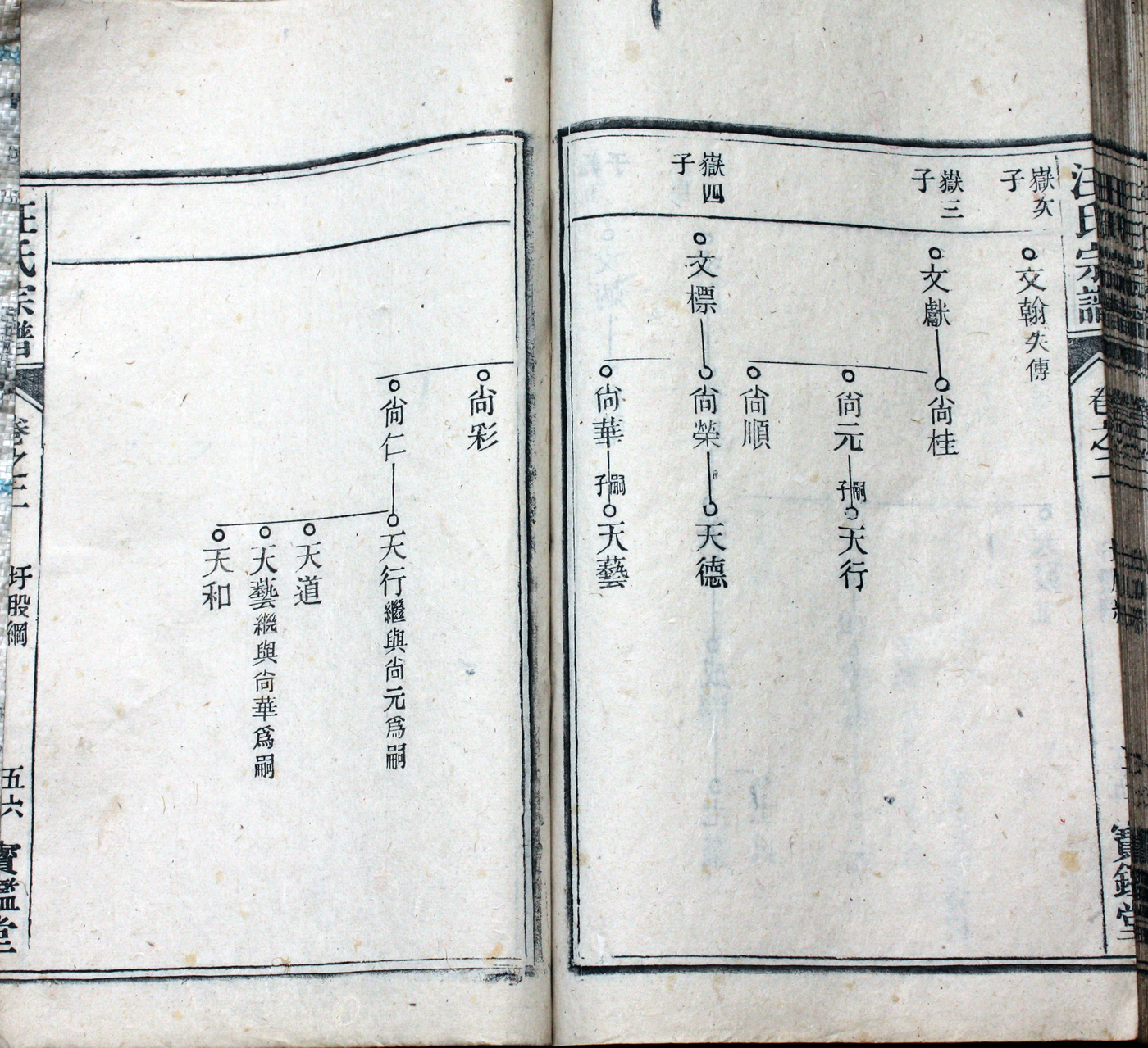 圩股派世系图 56