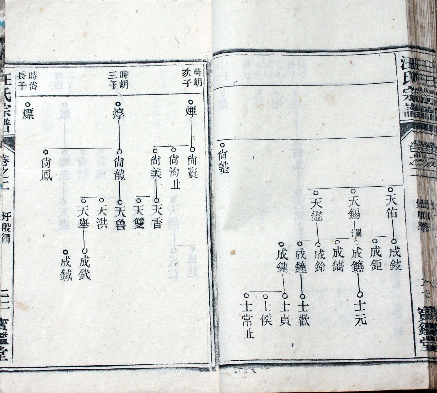 圩股派世系图 22