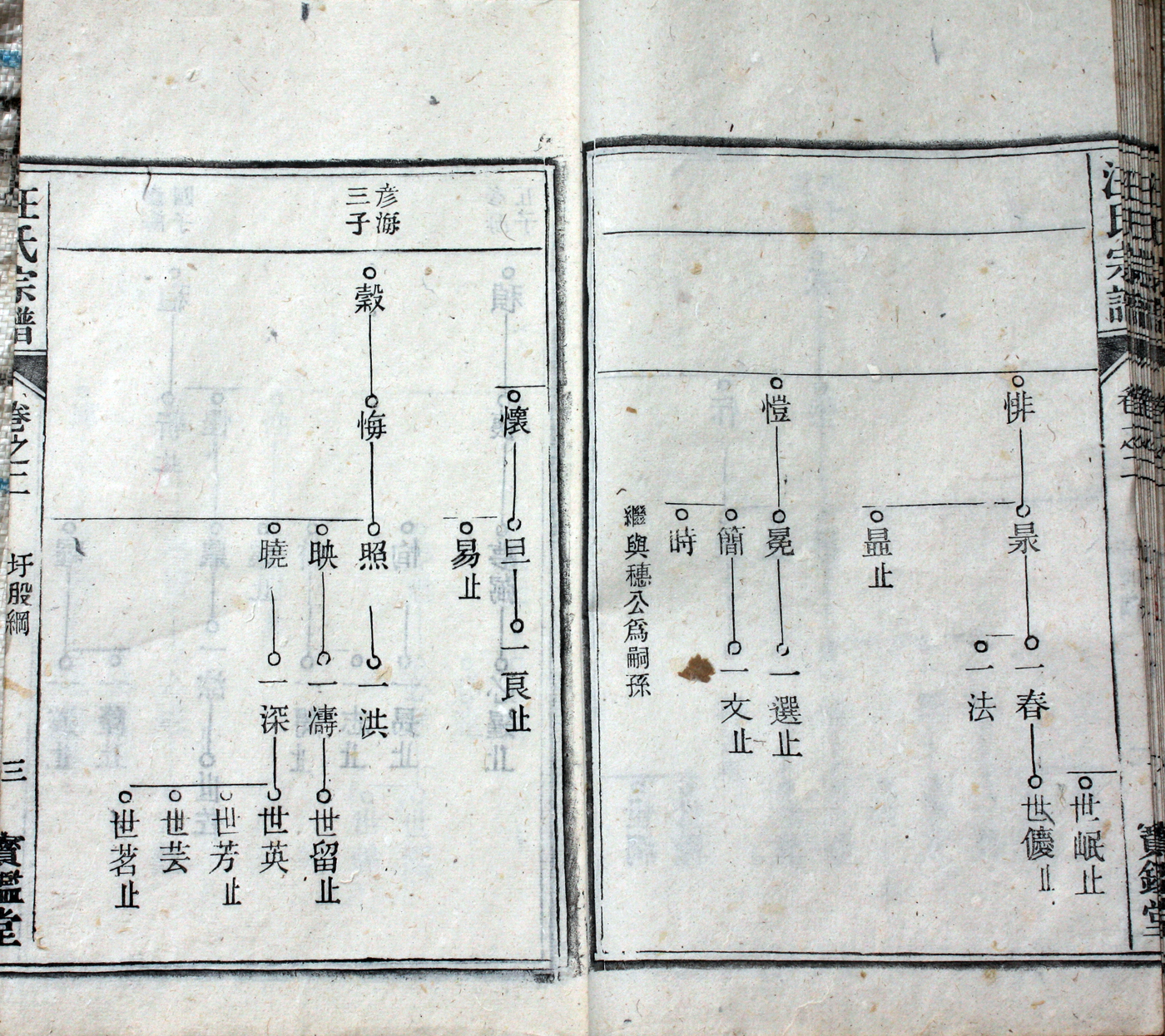 圩股派世系图［泰和堂］3