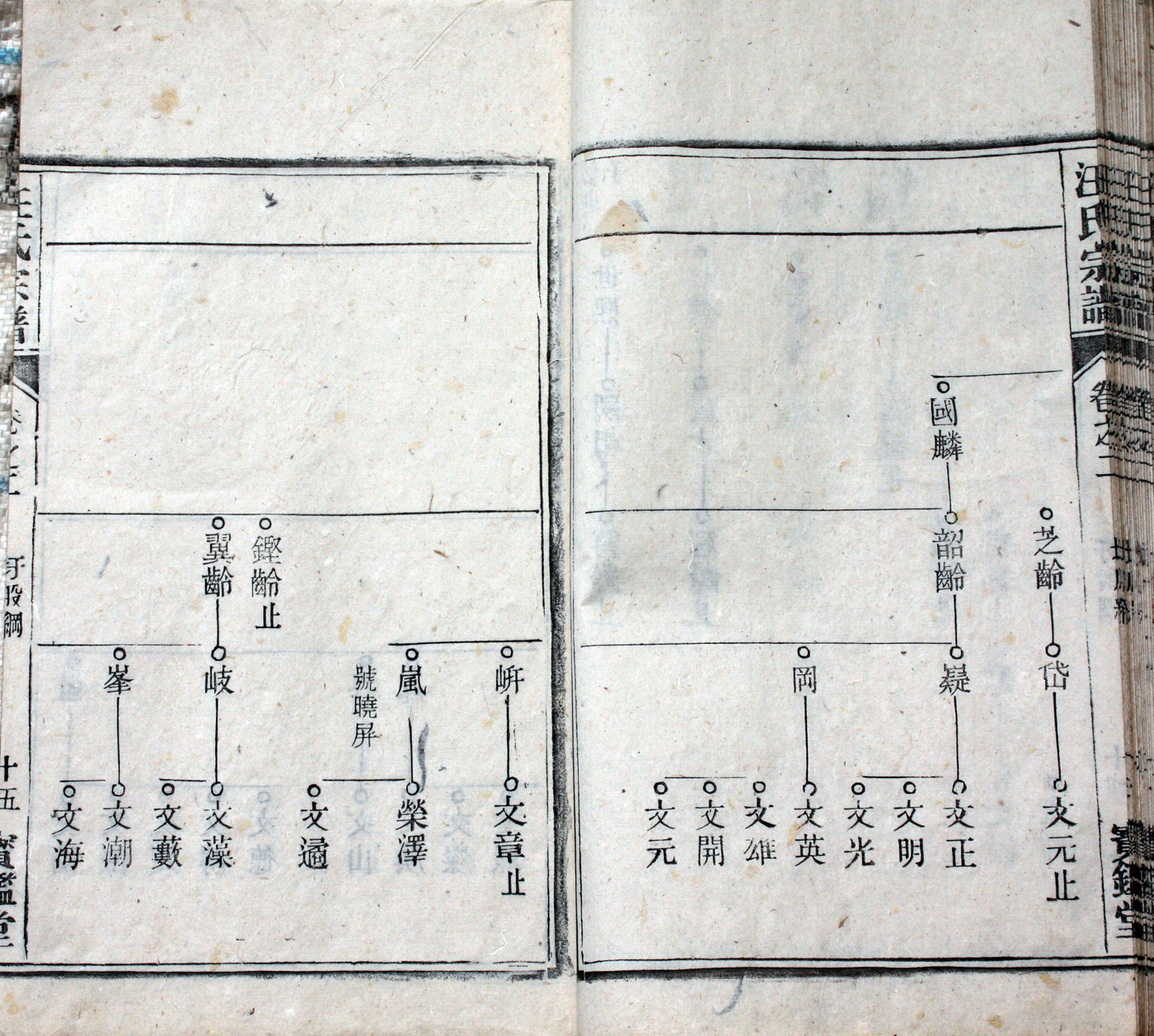 圩股派世系图 15