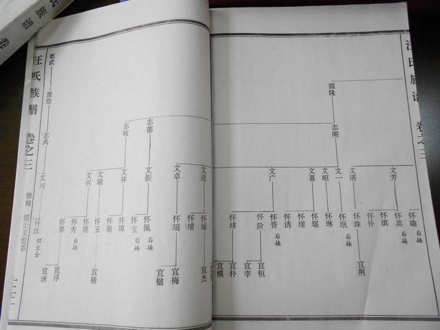 调整大小 DSCN0604.JPG