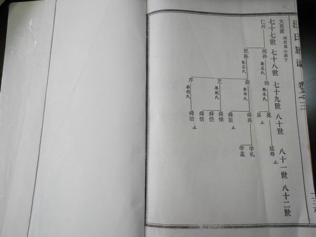 调整大小 DSCN0619.JPG