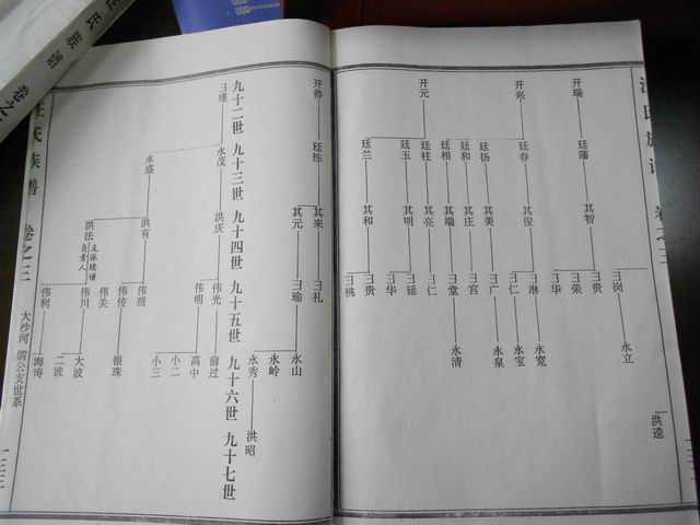 调整大小 DSCN0616.JPG