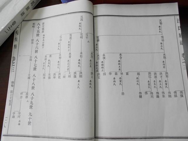 调整大小 DSCN0610.JPG