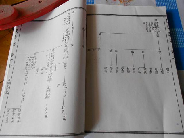 调整大小 照片 008.jpg