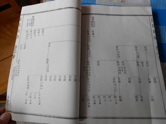 调整大小 照片 012.jpg