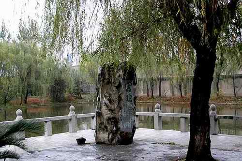 文物展览图片247