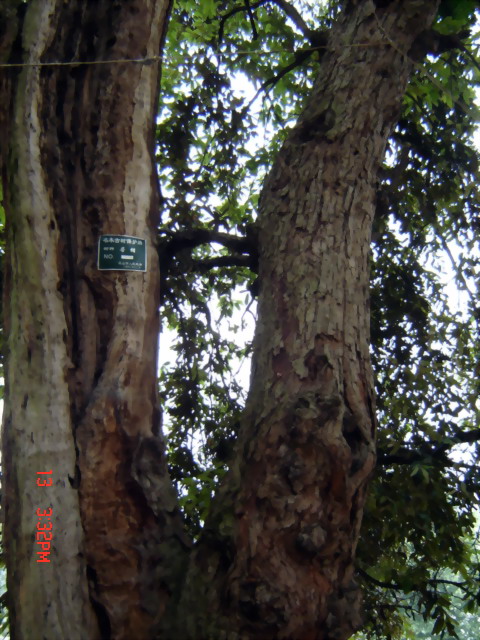 文物展览图片66