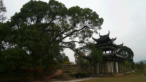 文物展览图片190