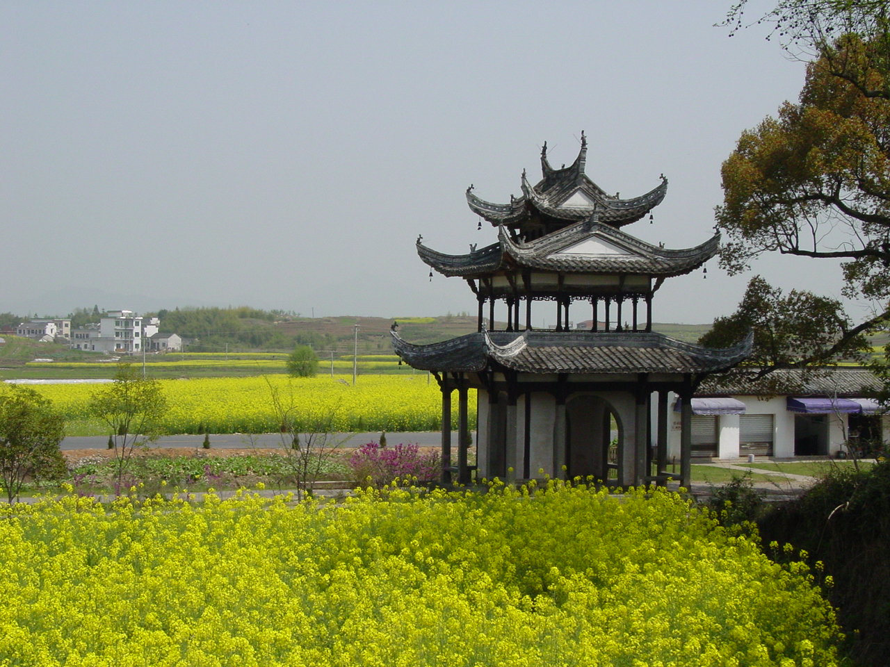 文物展览图片234