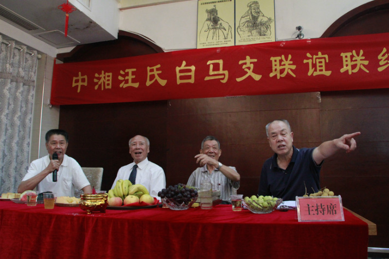 醴陵汪氏名人、湖南省委党校教授、《清风》杂志主编汪太理与会讲话。