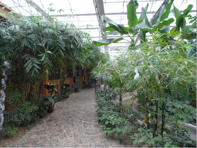 优美的农家乐环境