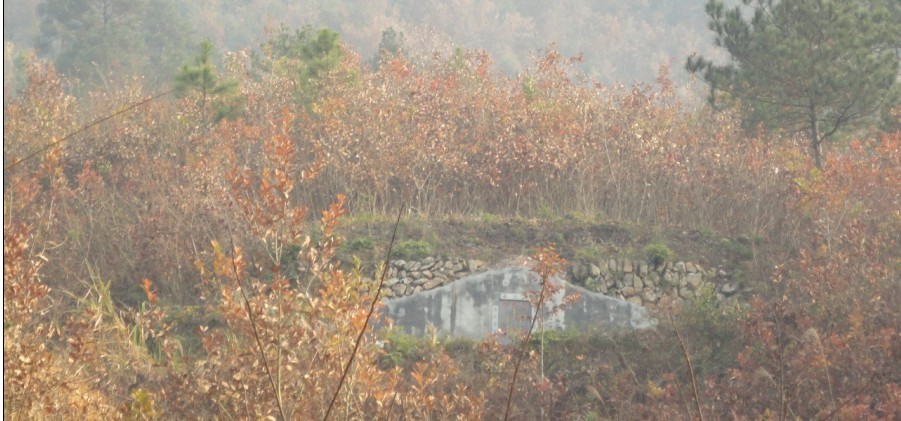 富一公之墓，龟肩