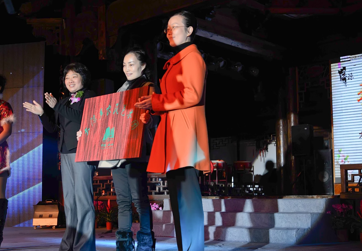 大陈乡农民艺术团授牌仪式2