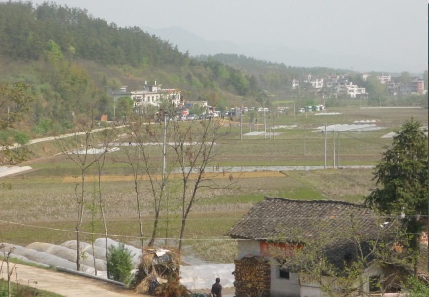 远远看见祭祖车隊