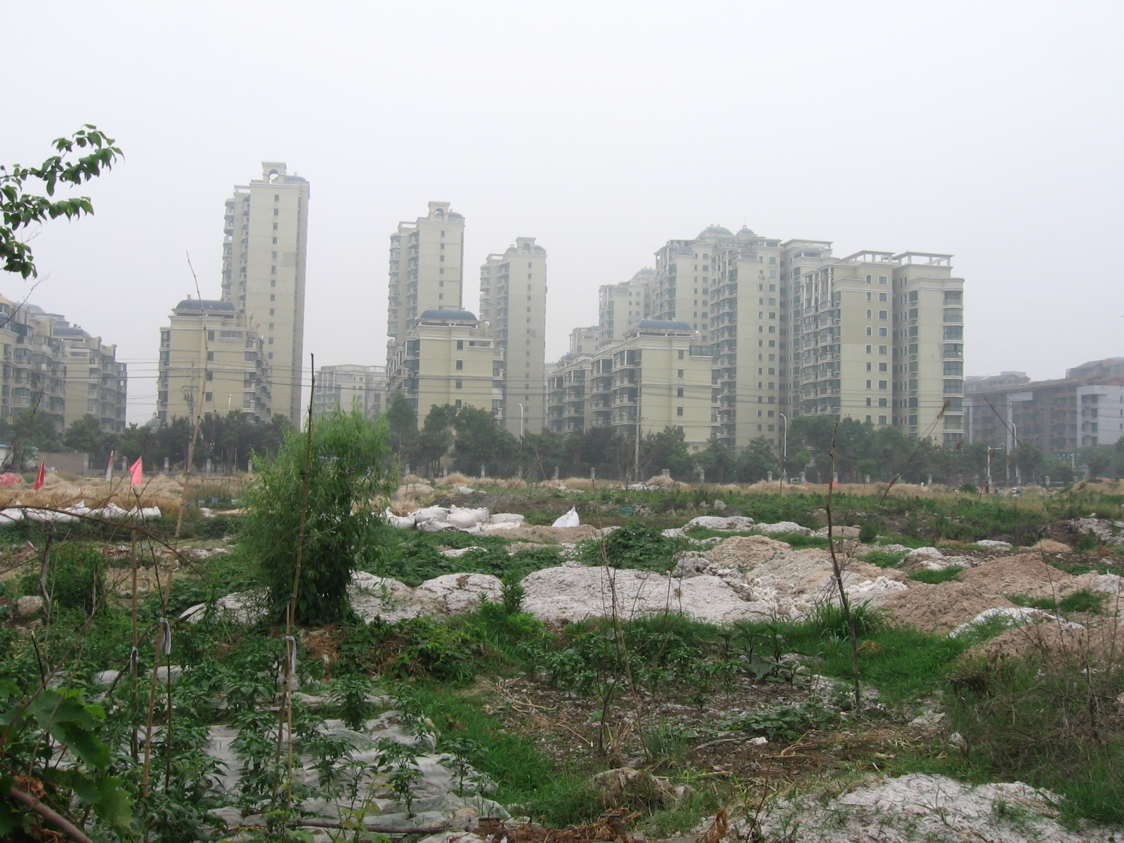 好院址、好心人、好远景