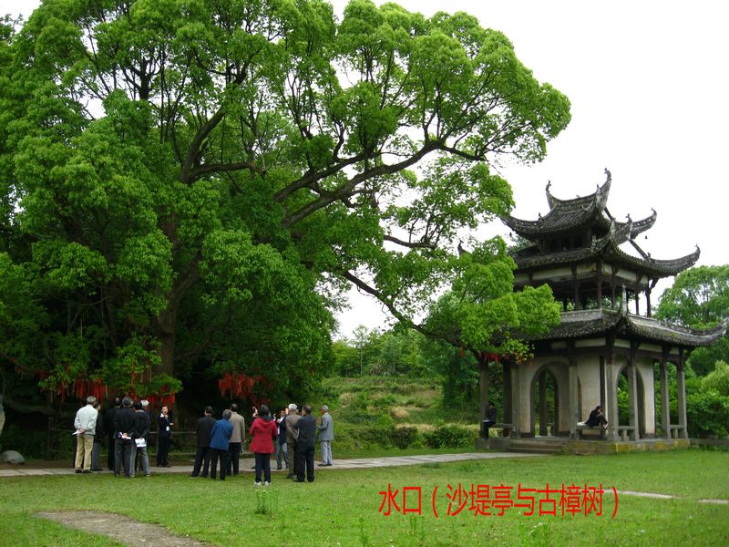 1、沙堤亭与古樟树2.jpg