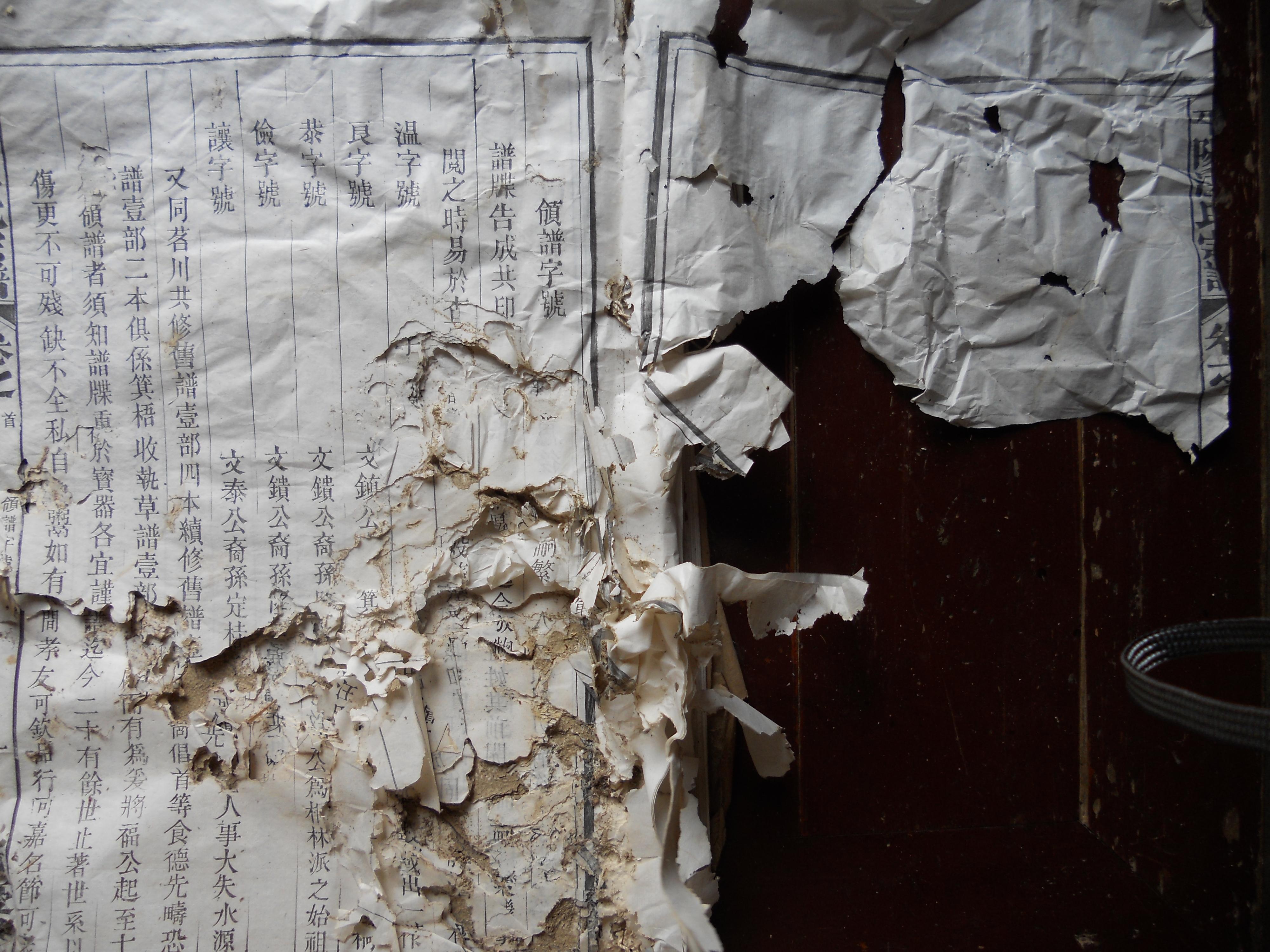 002 卷之首 领谱字号