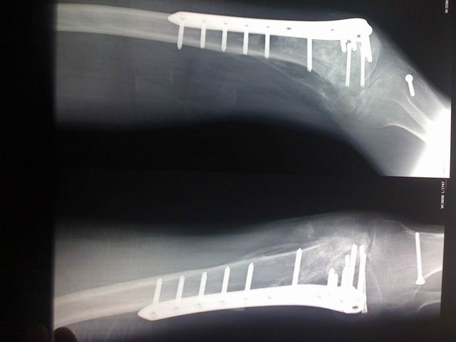 调整大小 IMG_0032.jpg