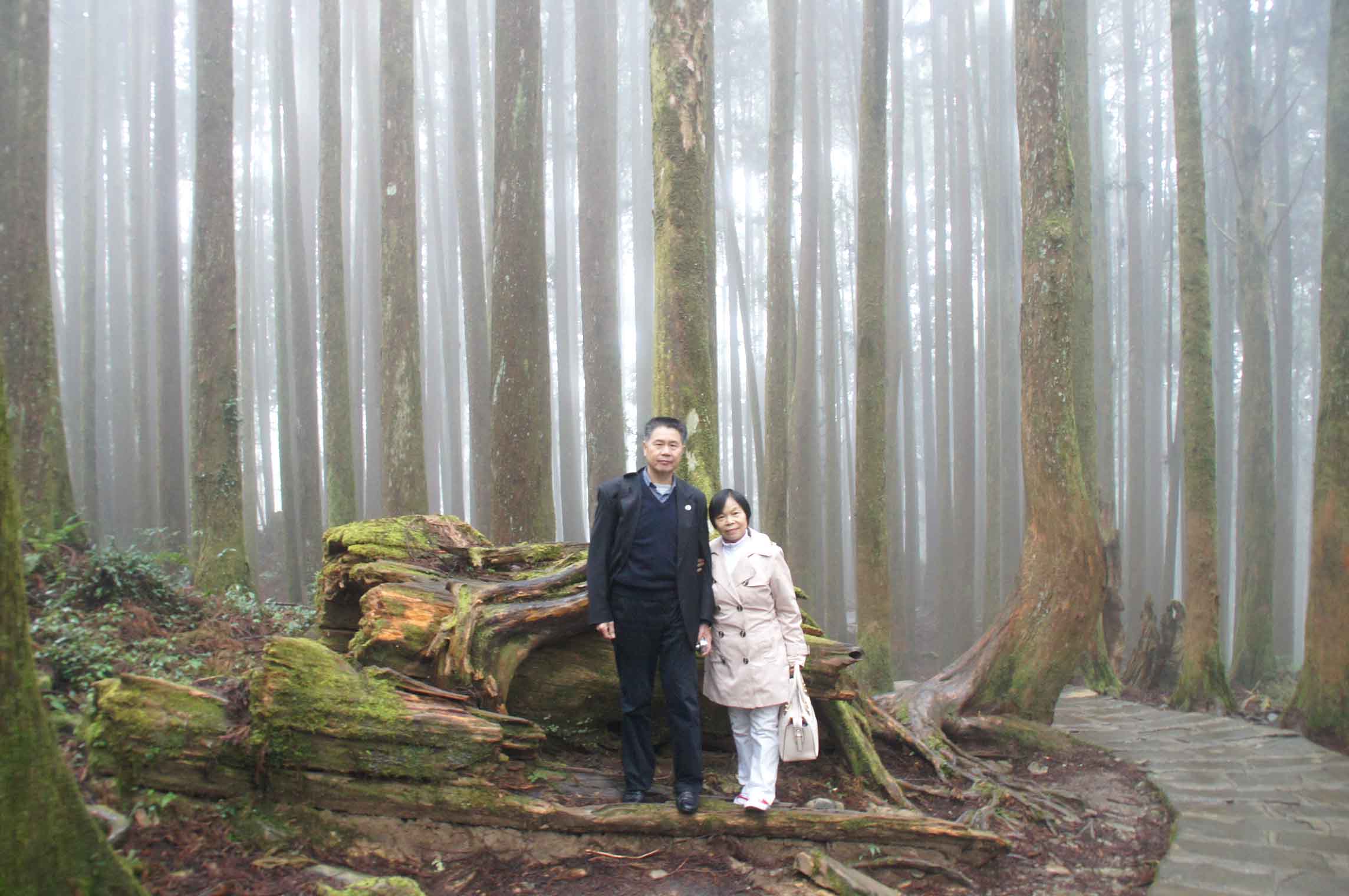 汪太理夫妇在台湾阿里山风景区留影