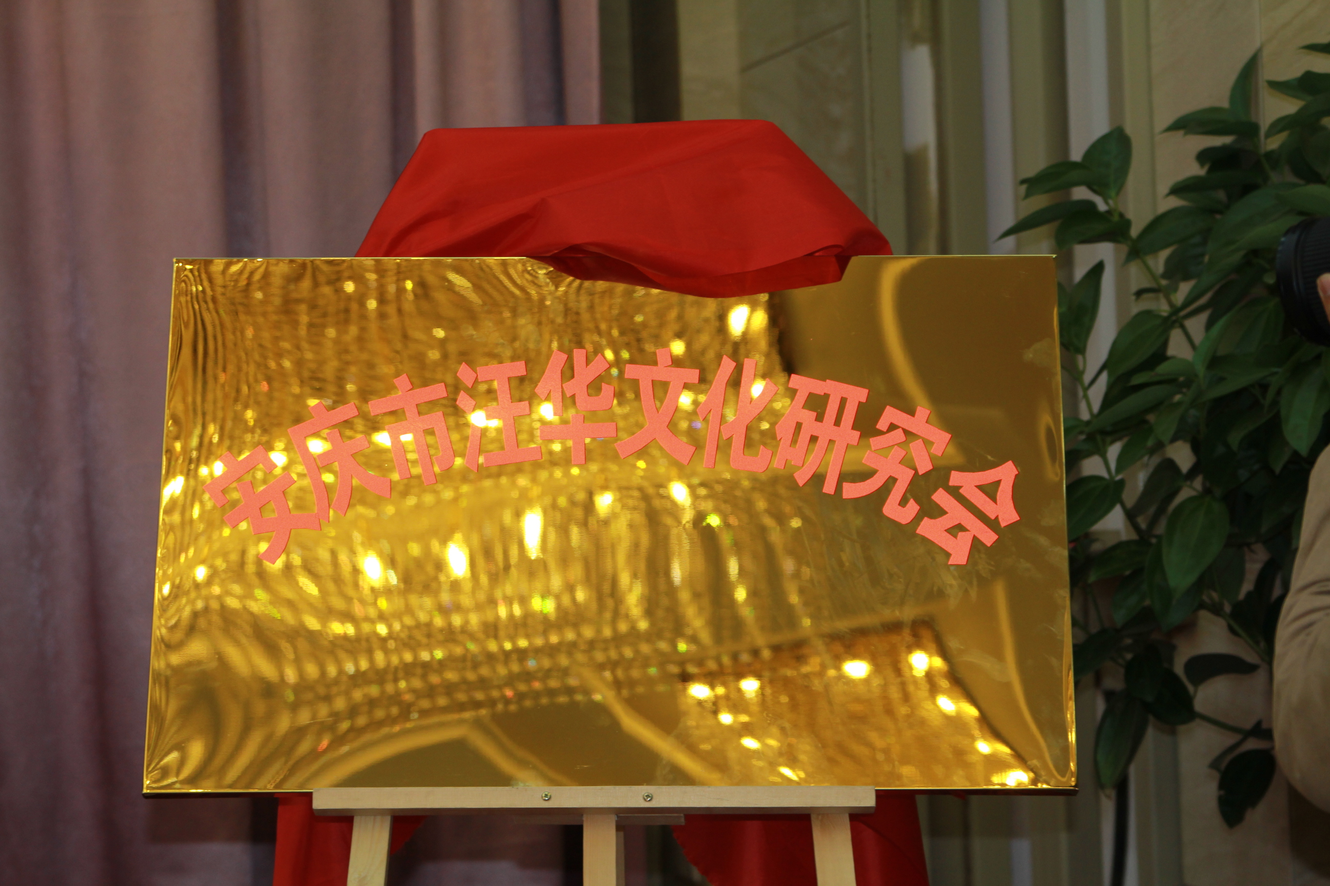 汪氏宗亲安庆会议 183.jpg